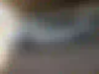 Vehicle Image- 2010 Ford Fusion