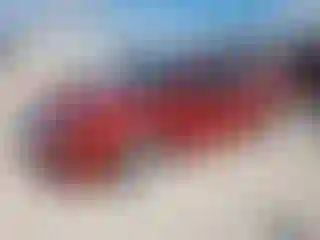 Vehicle Image- 2010 Ford Fusion