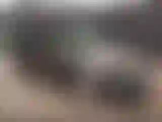 Vehicle Image- 2010 Ford Fusion