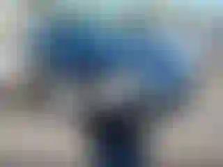 Vehicle Image- 2010 Ford Fusion