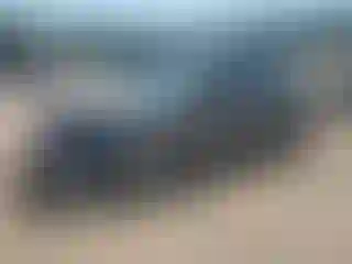 Vehicle Image- 2011 Ford Fusion