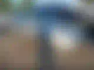 Vehicle Image- 2011 Ford Fusion