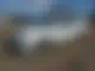 Vehicle Image- 2012 Ford Fusion