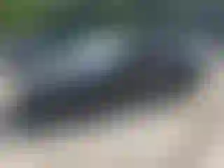 Vehicle Image- 2010 Ford Fusion