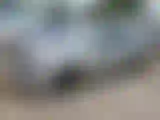 Vehicle Image- 2010 Ford Fusion