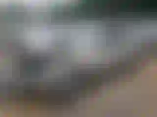 Vehicle Image- 2010 Ford Fusion