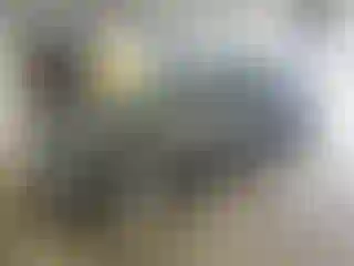 Vehicle Image- 2011 Ford Fusion