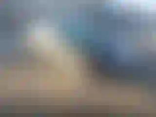 Vehicle Image- 2011 Ford Fusion
