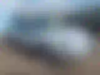 Vehicle Image- 2011 Ford Fusion
