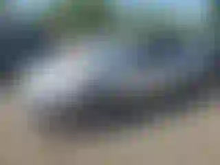 Vehicle Image- 2012 Ford Fusion