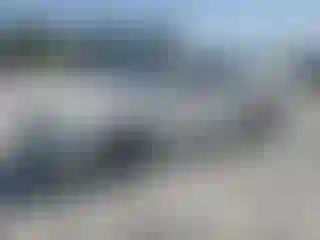 Vehicle Image- 2011 Ford Fusion