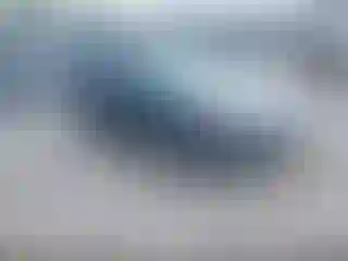 Vehicle Image- 2011 Ford Fusion