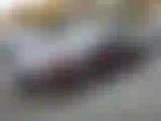 Vehicle Image- 2011 Ford Fusion