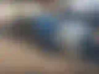 Vehicle Image- 2011 Ford Fusion