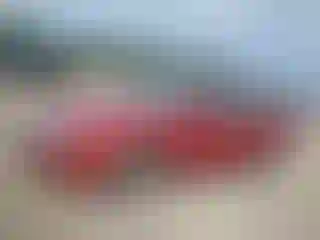 Vehicle Image- 2010 Ford Fusion