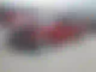 Vehicle Image- 2011 Ford Fusion