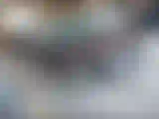 Vehicle Image- 2011 Ford Fusion