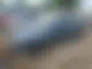 Vehicle Image- 2011 Ford Fusion