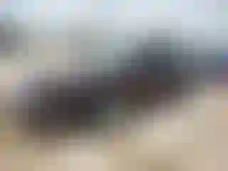 Vehicle Image- 2012 Ford Fusion