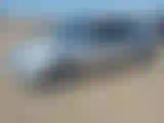 Vehicle Image- 2012 Ford Fusion