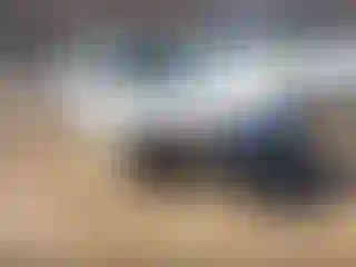 Vehicle Image- 2012 Ford Fusion
