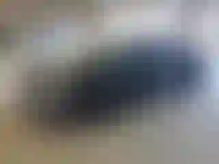 Vehicle Image- 2010 Ford Fusion