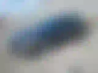 Vehicle Image- 2012 Ford Fusion