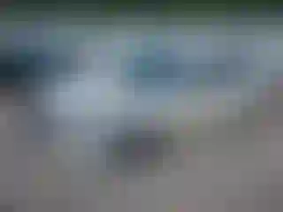 Vehicle Image- 2011 Ford Fusion