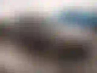 Vehicle Image- 2012 Ford Fusion