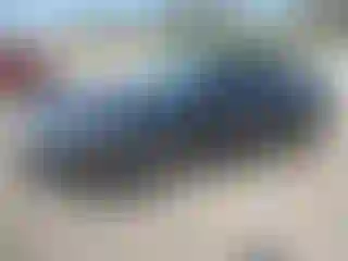Vehicle Image- 2010 Ford Fusion