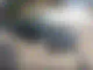 Vehicle Image- 2012 Ford Fusion