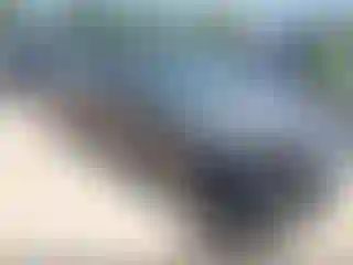 Vehicle Image- 2012 Ford Fusion