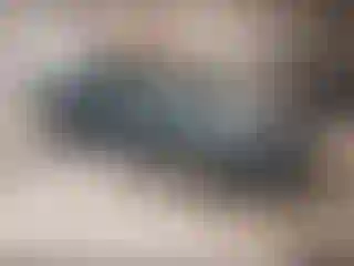 Vehicle Image- 2011 Ford Fusion