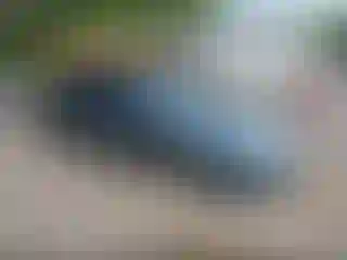 Vehicle Image- 2012 Ford Fusion