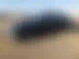 Vehicle Image- 2011 Ford Fusion