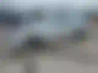 Vehicle Image- 2010 Ford Fusion