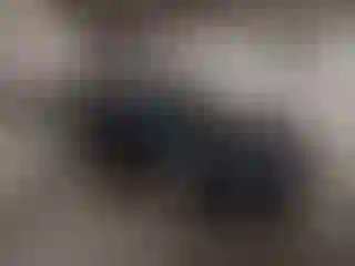 Vehicle Image- 2011 Ford Fusion