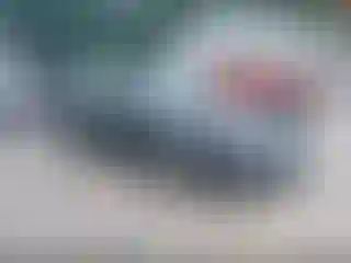 Vehicle Image- 2010 Ford Fusion