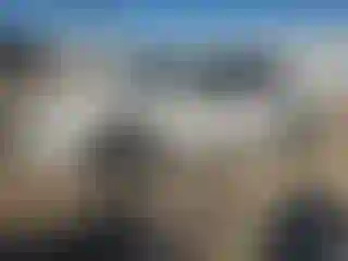 Vehicle Image- 2012 Ford Fusion