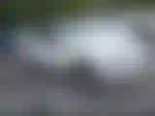 Vehicle Image- 2011 Ford Fusion