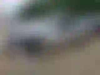 Vehicle Image- 2011 Ford Fusion