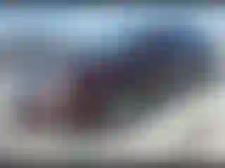 Vehicle Image- 2012 Ford Fusion