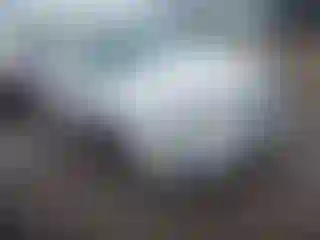 Vehicle Image- 2010 Ford Fusion