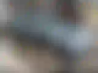 Vehicle Image- 2012 Ford Fusion