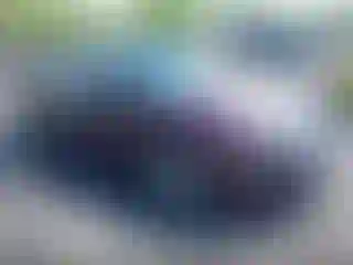 Vehicle Image- 2011 Ford Fusion