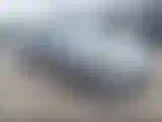 Vehicle Image- 2011 Ford Fusion