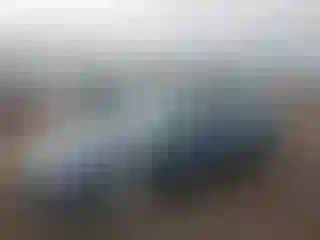 Vehicle Image- 2011 Ford Fusion