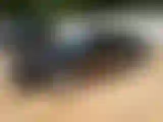 Vehicle Image- 2011 Ford Fusion