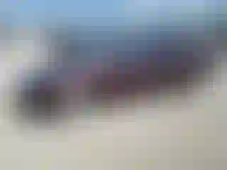 Vehicle Image- 2012 Ford Fusion