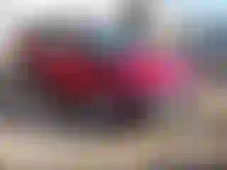 Vehicle Image- 2011 Ford Fusion